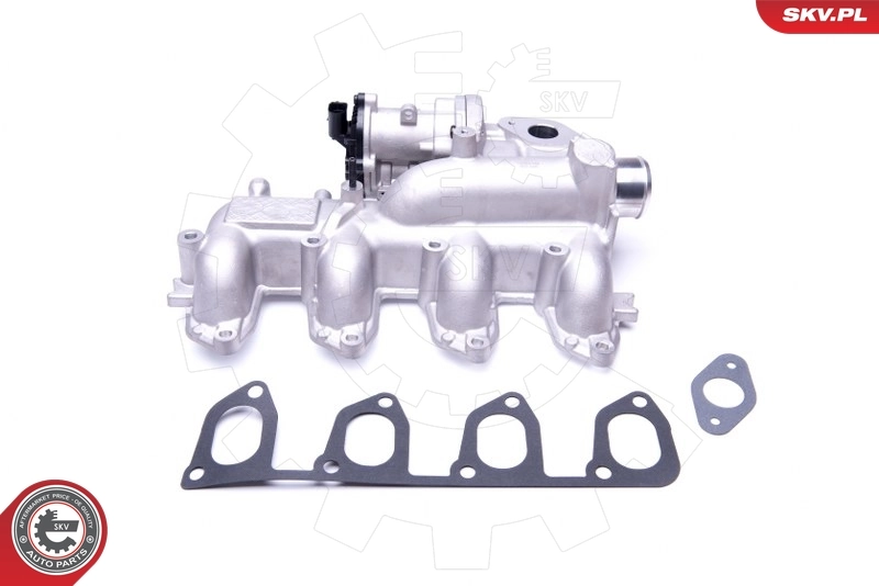 EGR Valve